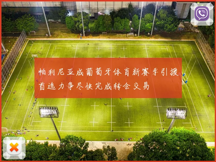 帕利尼亚成葡萄牙体育新赛季引援首选力争尽快完成转会交易
