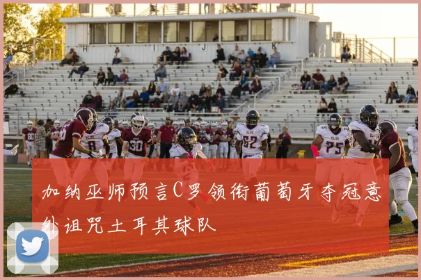 加纳巫师预言C罗领衔葡萄牙夺冠意外诅咒土耳其球队