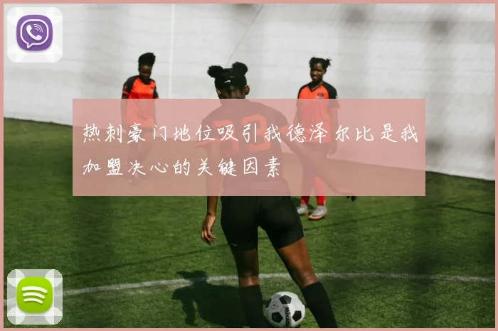 热刺豪门地位吸引我德泽尔比是我加盟决心的关键因素